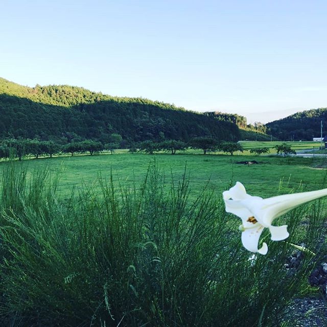 恵那山を照らす陽が・・朝夕は肌掛けがそろそろ (Instagram)